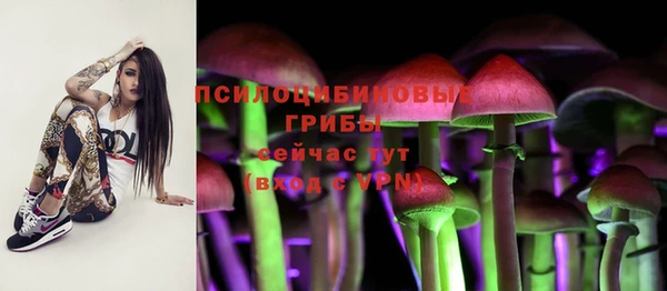 mdma Переславль-Залесский