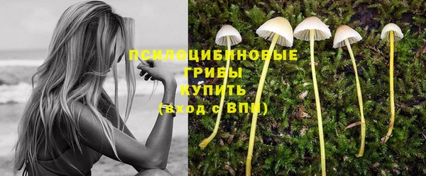 прущие грибы Алексеевка