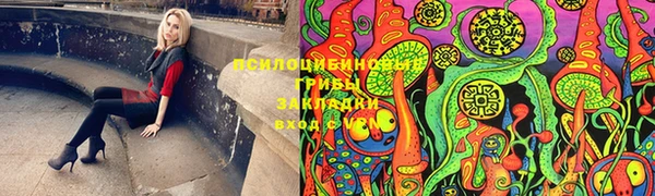 прущие грибы Алексеевка